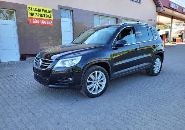 samochody osobowe Volkswagen Tiguan cena 36800 przebieg: 239000, rok produkcji 2010 z Olecko